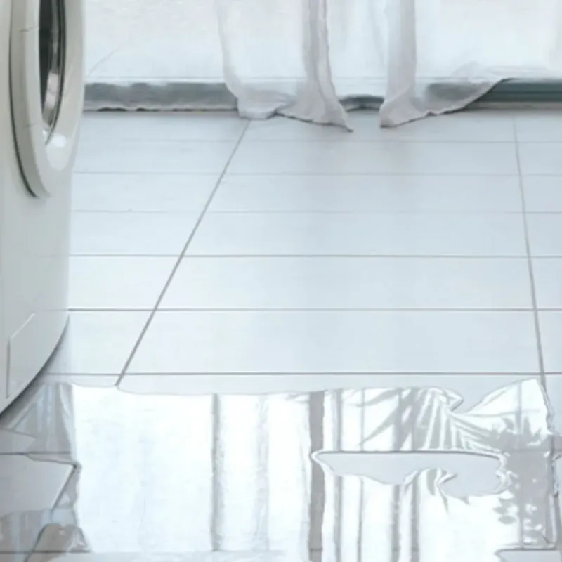 Appliance Leak Cleanup in Valdez, AK