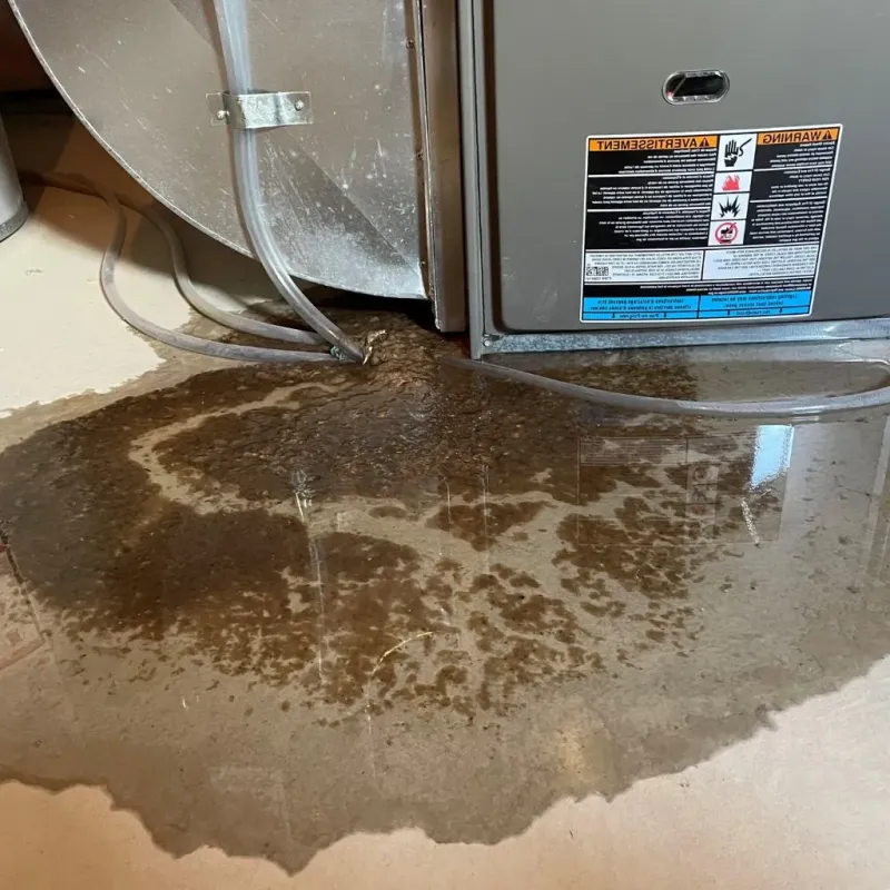 Pipe Burst and Leak Restoration in Valdez, AK